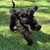 Kristina Auck Erickson's profile image