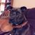 Amanda Rearick Miller's profile image