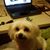 Carole Burinsky's profile image