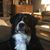 Kevin Gordon's profile image