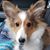 Cathleen Desotell's profile image