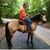 Steven Hoskins's profile image