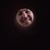 Mike Wenzler's profile image