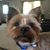 Gina Timmons's profile image