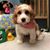 Cynthia Cole Talada's profile image