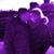 Elaine Wheeler Krause's profile image