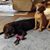 Kim Busick Moltzan's profile image