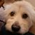 Debra Larochelle's profile image