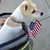 Doreen Boulanger's profile image
