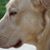 Paul Richard Thompson's profile image