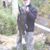 Sid Babula's profile image