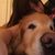 Juliana Mclaughlin's profile image