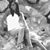 Jessica Scott's profile image