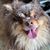 Casey Steinborn Vance's profile image