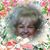 Carolyn Chapman's profile image