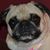 Lori Link's profile image