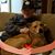 Patty Hanning-Dabbs's profile image