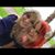Lynnette Pastore's profile image