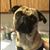 Carla McConniel Richards's profile image