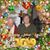 Michael Kipp's profile image