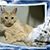 Sandy Grigg's profile image