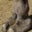 Biff Bigelow's profile image