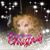 Kerin Olson Grayson's profile image
