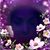 Baez Odelia's profile image