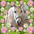 Shellie Hensley's profile image