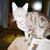 Sharon Waters's profile image