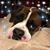 Lori Spearman Beebe's profile image