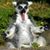 Kathy Forton's profile image