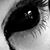 Trina P Corwin's profile image