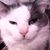 Christine Jacobson's profile image