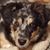 Sherree Blair's profile image
