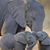 Susan Matt Brimmer's profile image