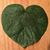 Victoria Ford Gulla's profile image