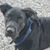 Rebecca Luker Johnson's profile image