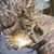 Jennifer S Alwicz's profile image