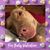Silveria Rivera Sebastian's profile image