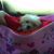Dawn Neisler's profile image