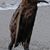 Kathy Ryan Kalen's profile image