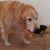 Maurine Taylor's profile image