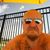 Tom Mueller's profile image