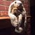 Ann Reed Brown's profile image