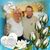 Twilla Waibel's profile image