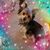 Teresa Sahm Nelson's profile image