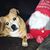 Nicky Leveille's profile image