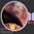 Loreli Love's profile image