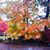 Vicki Brazer's profile image